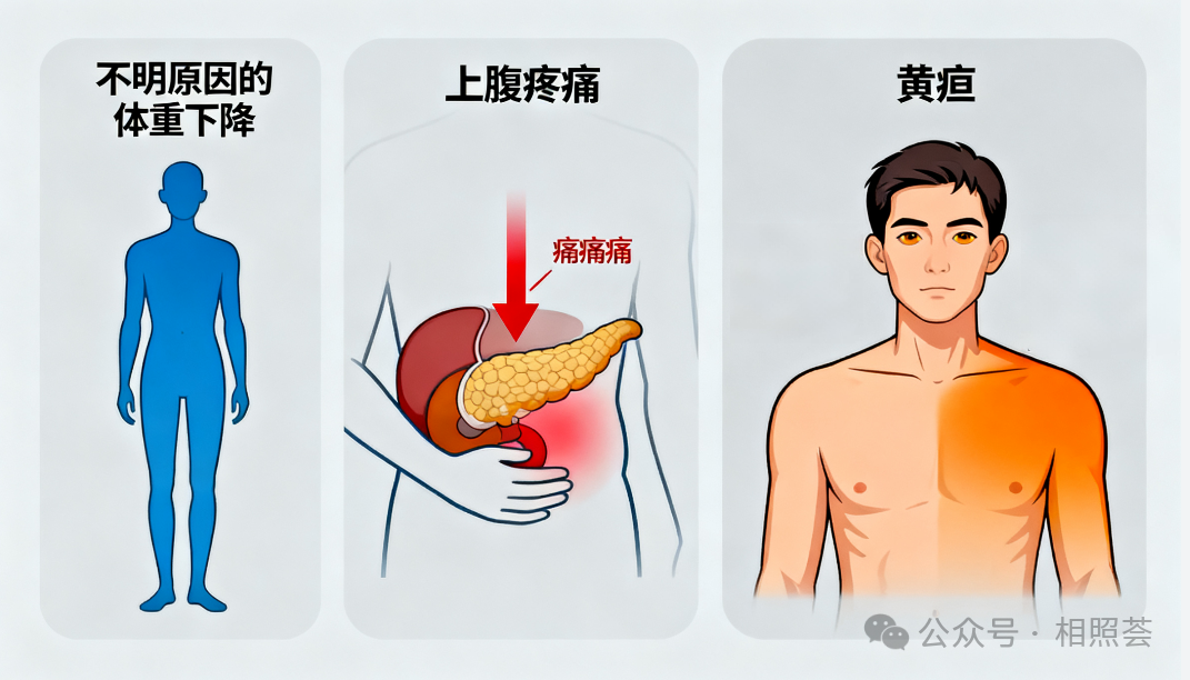 【TCR-T治疗案例分享】&ldquo;我的T细胞打败了癌症&rdquo;：一位胰腺癌患者的治疗手记！